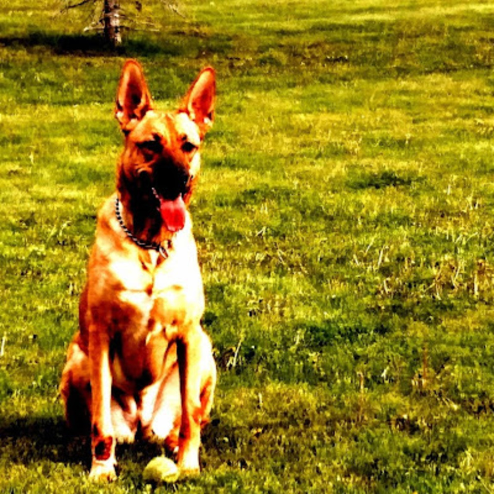 Meet your Posher, Steffane